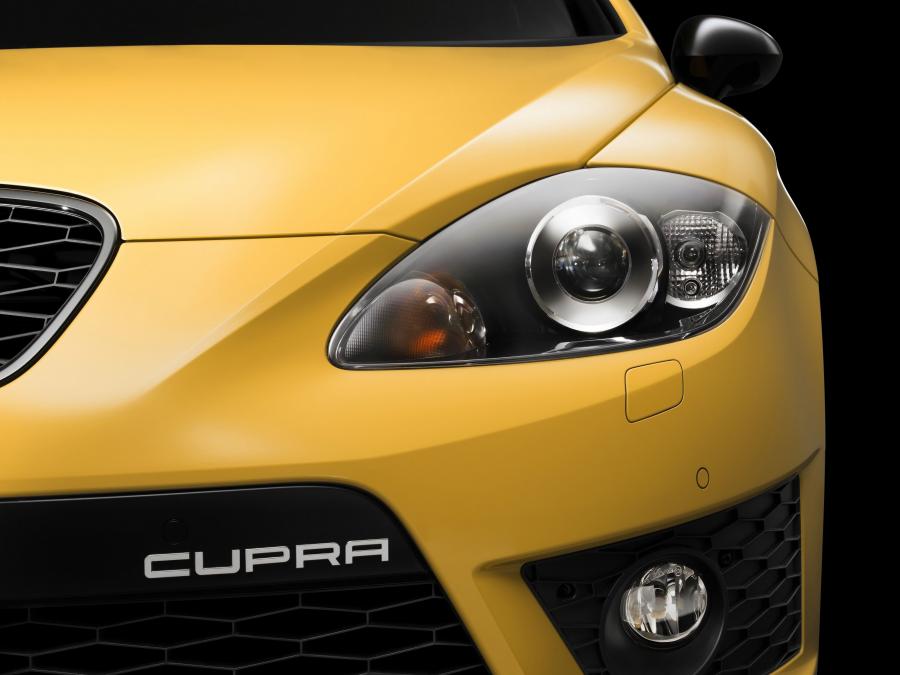  Seat Leon Cupra 2009 года  (фото 59 из 61)